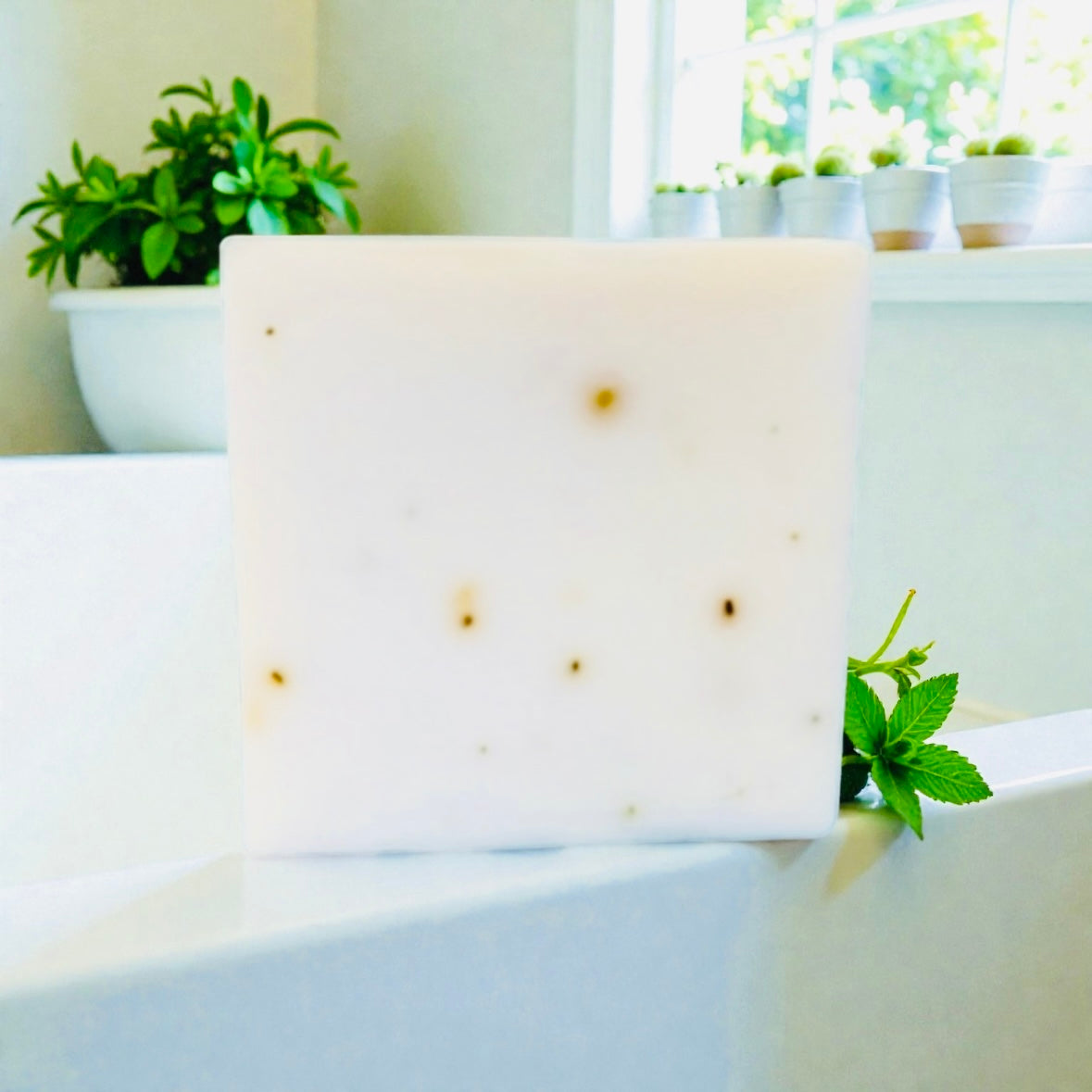 Eucalyptus & Aloe Soap