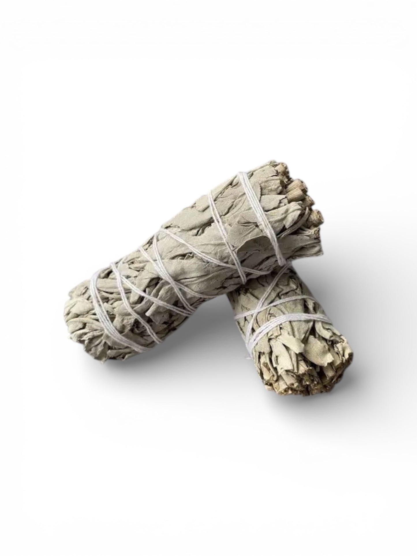 White Sage ( 4 inches)